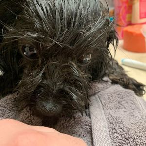 Meet your Posher, Kj